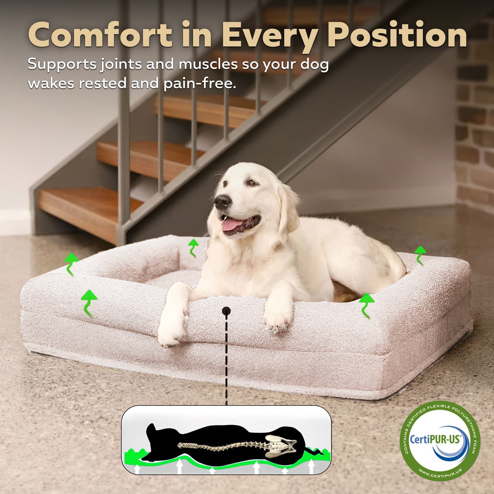 Firm Memory Foam Dog Bed In Ivory Boucle Fabric - Large