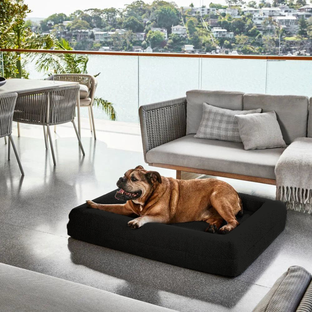 Firm Memory Foam Dog Bed In Black Boucle Fabric - Large