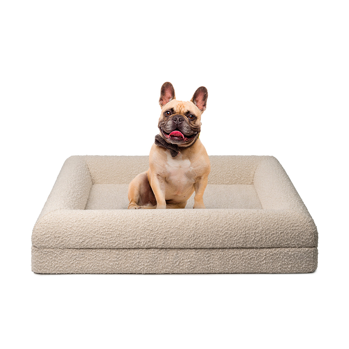Bundle - 1 X Ivory & 1 X Black Boucle Fabric & Orthopaedic Foam Dog Beds