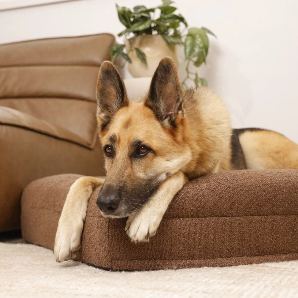Bundle - Brown Boucle Fabric & Orthopaedic Foam Dog Bed + Spare Cover