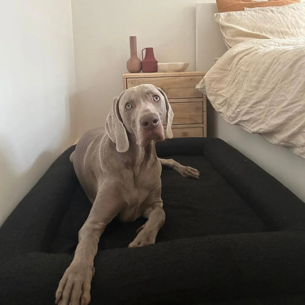 Black - Vet Approved Memory Foam Dog Bed - Extra Large - Arthritis & Hip Support + Ideal For All Dog Breeds