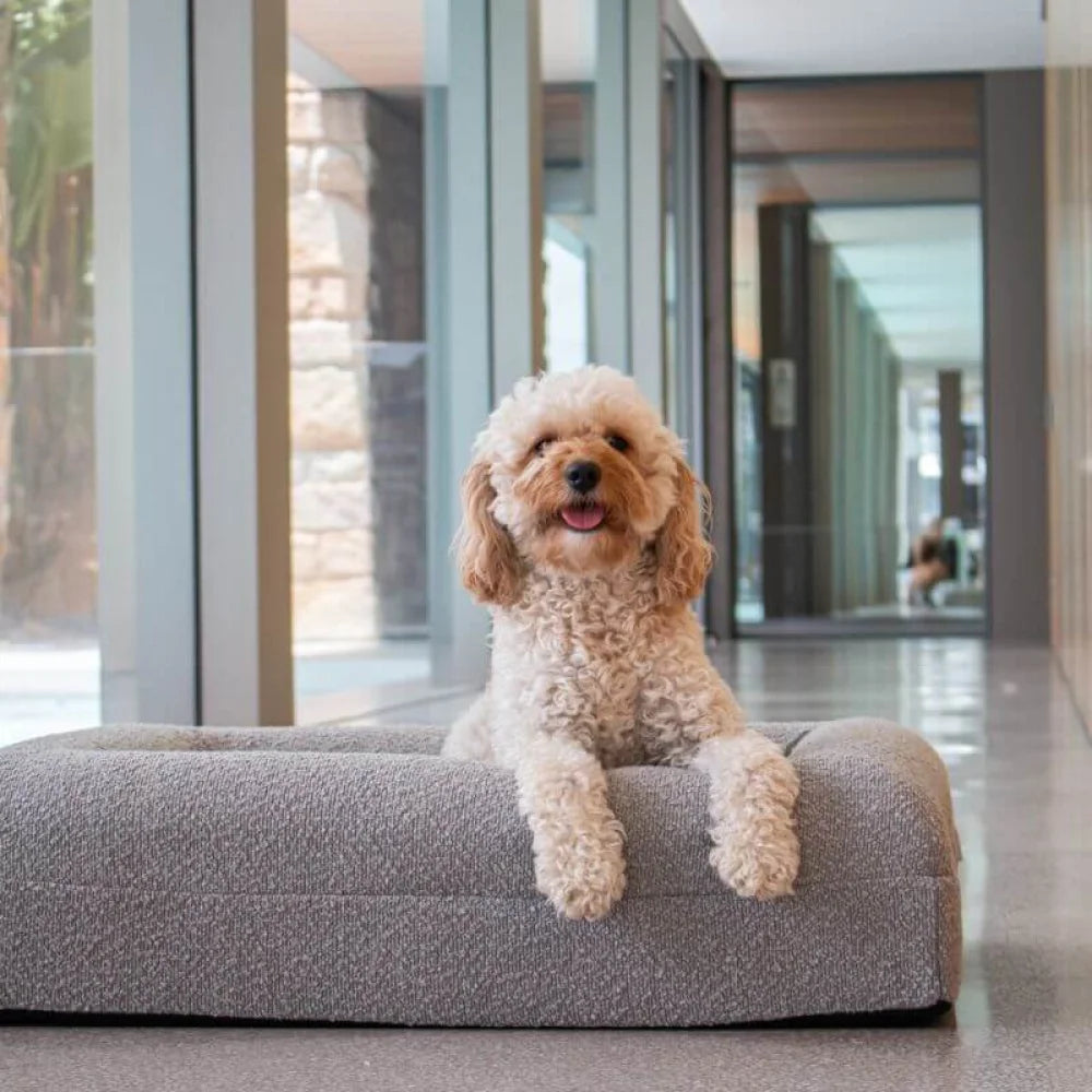 Firm Memory Foam Dog Bed In Grey Boucle Fabric - Medium