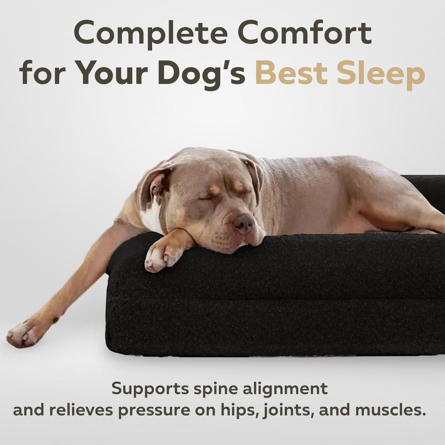 Firm Memory Foam Dog Bed In Black Boucle Fabric - Large