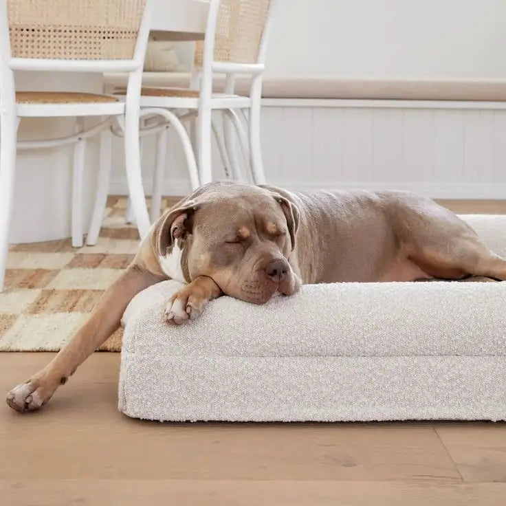 Firm Memory Foam Dog Bed In Ivory Boucle Fabric - Large