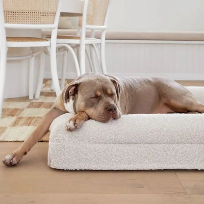 Firm Memory Foam Dog Bed In Ivory Boucle Fabric - Large
