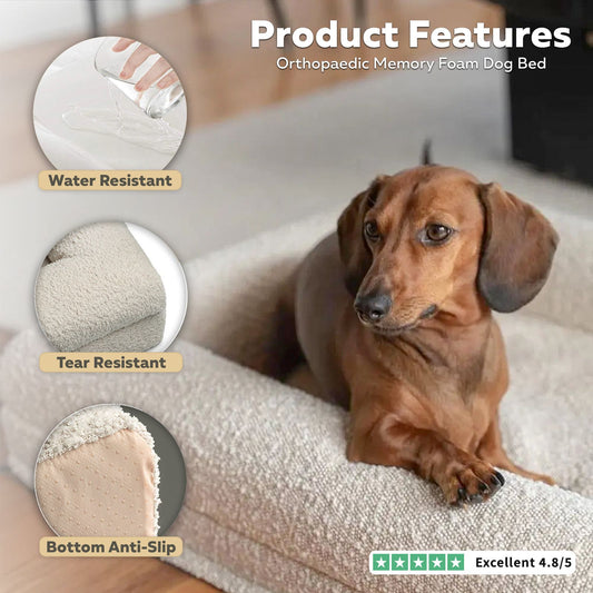 Firm Memory Foam Dog Bed In Ivory Boucle Fabric - Medium