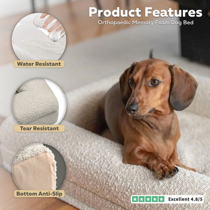 Firm Memory Foam Dog Bed In Ivory Boucle Fabric - Large