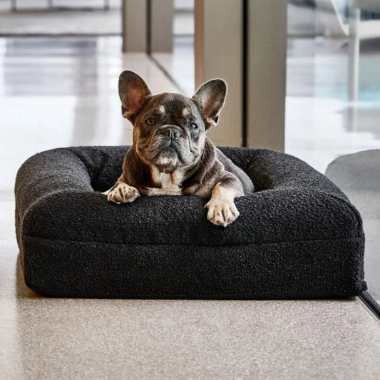 Firm Memory Foam Dog Bed In Black Boucle Fabric - Medium