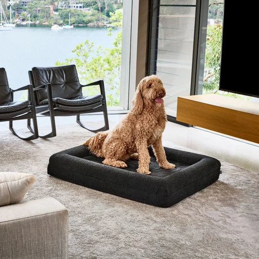 Extra Large - Vet Approved Orthopaedic Foam Dog Bed